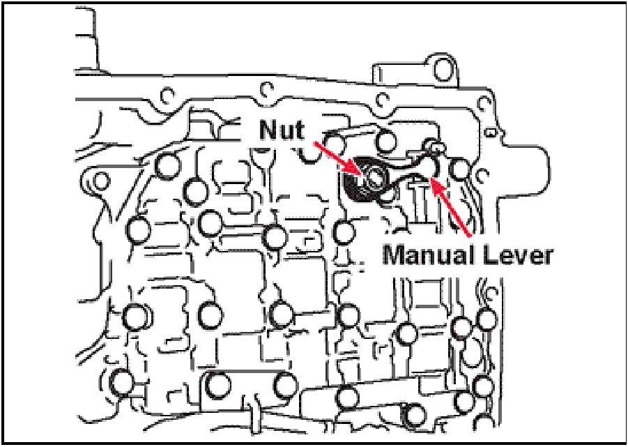 520065657_graphic-text286